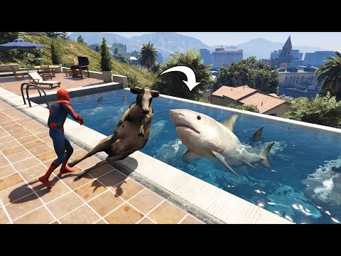 سبايدرمان يربي أسماك القرش في المسبح في قراند 5 GTA V  Spiderman Shark