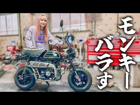 【レストア】中古で買って1年半乗りまくったZ50モンキーを新車同然にします。