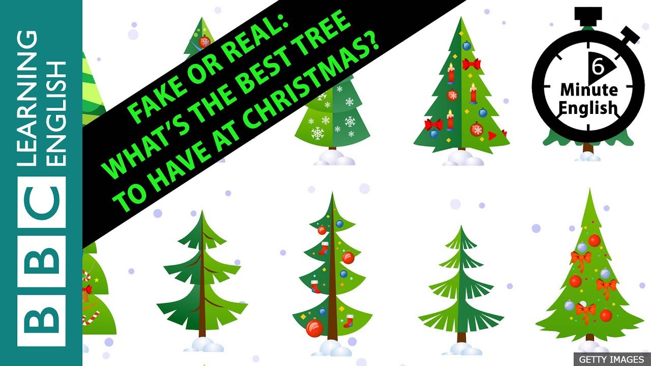 Fake or real: Whats the best tree to have at Christmas? 6 Minute English