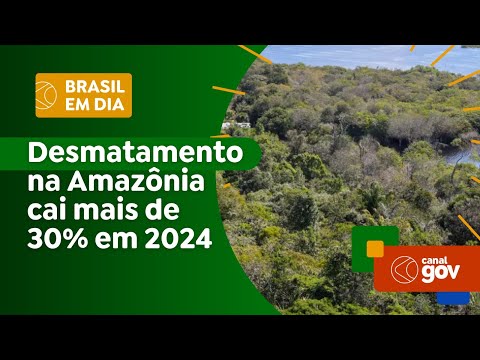 Desmatamento na Amazônia cai mais de 30% em 2024