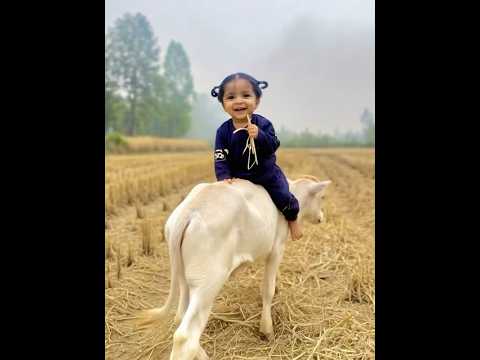 Nirvair #music #viral #shortvideos #viralvideos #youtubeshorts #youtube #ai #cartoon #ytshorts #love