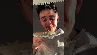 Filling My Pet Seagull Up With Sardines!!