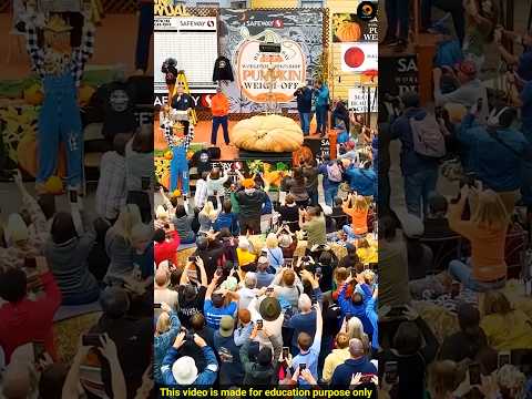 World's Heaviest Pumpkin by Factz Riyad #shorts