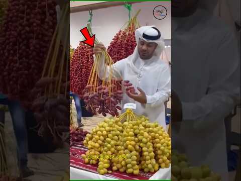 Why do Dubai Sheikhs take care of dates? #facts #shortvideo #dubai