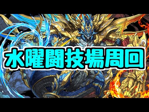 【生放送】ブラフマー集め水曜闘技場【パズドラ】
