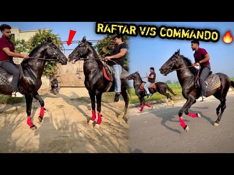 RAFTAR Or COMMANDO Ki Race Krwa Kr Dosti Krwa Di 🔥( Itna Gussa ) 😨