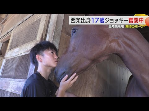 【高知競馬場“期待のホープ”】西条出身・17歳の新人ジョッキー奮闘中