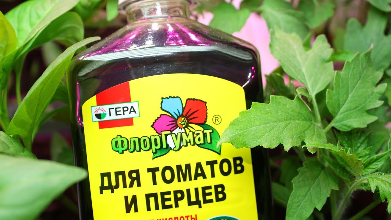 Вкусные удобрения! Флоргуматы для рассады и цветов