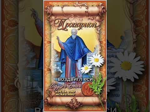 13 июля Прп. Петр, царевич Ордынский (1290г)