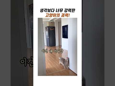 생각보다 강력한 고양이의 괴력 #<strong>귀여운고양이</strong> #냥이 #야옹이