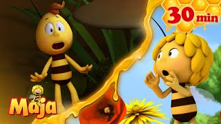 🐞 Die große Marienkäfer-Parade - Die Biene Maja🐝🍯🐝 - FULL COMPILATION