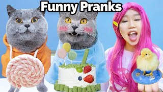 Let’s Share Some Amazing Pranks This Weekend!😆🍭 | Oscar‘s Funny World | New Funny Videos 2024