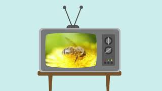 Scratch Garden Educational Videos & Songs LIVE!