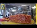 Understanding Food Waste Solutions
