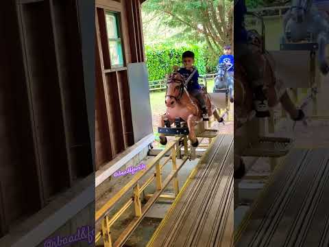 Horse ride ?#shorts #viralshorts #ytshorts #fyp #themepark #amusementpark