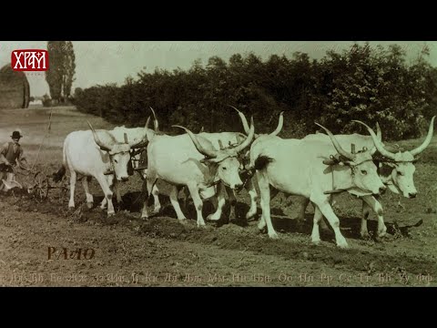 Народни буквар - Слово Р