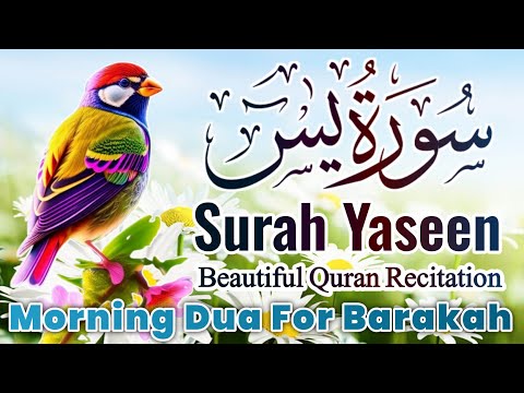 Surah Yasin (Yaseen) || سورہ یس 36 || Surah Yasin Full 7th Time || Morning Dua For Barakah || EP-034