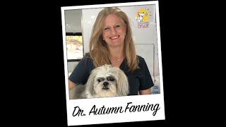 Dog Care On Air Presents Vets Here Mobile Veterinarian Service with Dr. Autumn Fanning