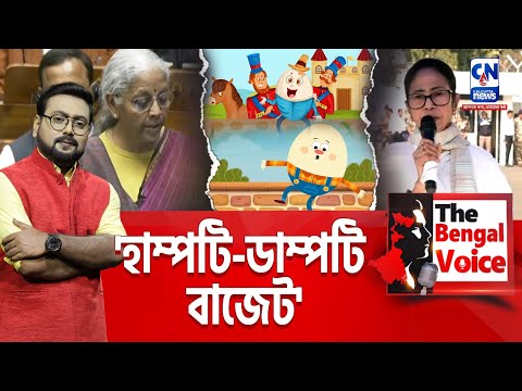 'হাম্পটি-ডাম্পটি বাজেট'