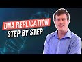 Steps of DNA Replication Explained