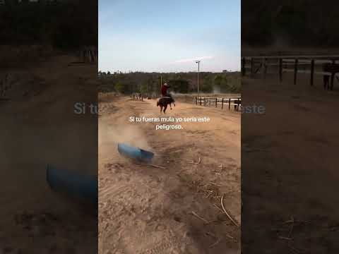 Si tú fueras mula yo sería este peligroso 🤠