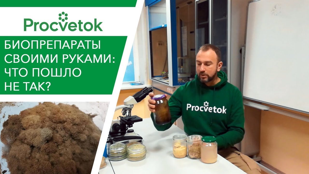 Почему не выросла триходерма? Ох уж эти практики!