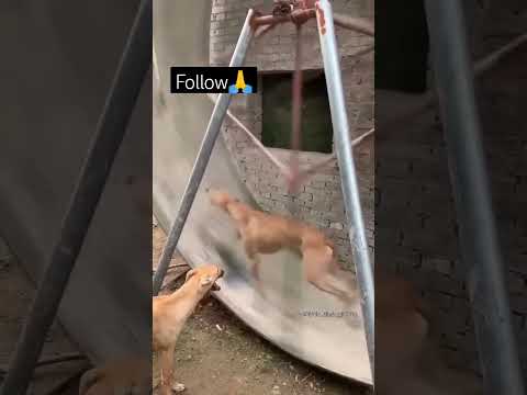 Video ko follow Nahi karte ho👍 bhaiya.. 🙏main chala Hun main chala..👍
