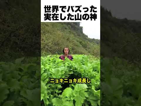 【🔥400万再生突破🔥】発見！山の神様は実在した！