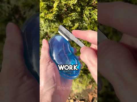 Random Facts That Surprised Me 30 ๐