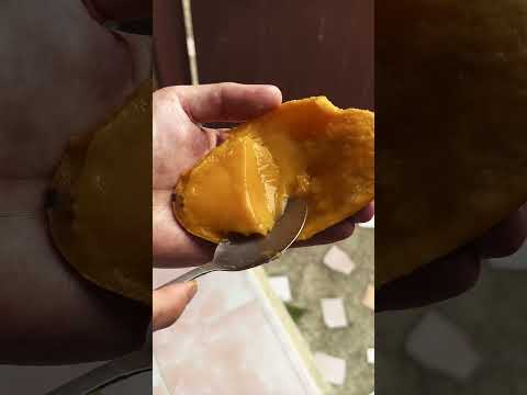 Готовлю завтрак и считаю животных