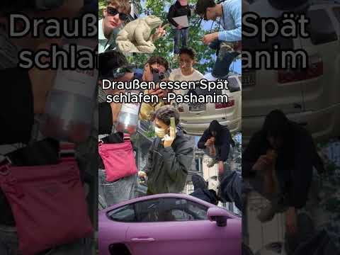 Pashanim - draußen essen spät schlafen (sped up + reverb)