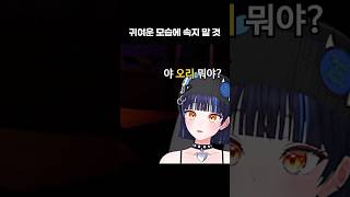 귀여운 모습에 속지 말 것