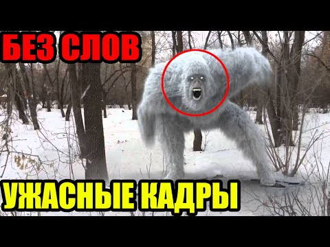 ПИЛОТ МИГА ОХРЕНЕЛ ОТ УВИДЕННОГО!!!!