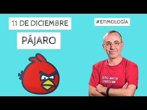 🦤PÁJARO, expresiones en ESPAÑOL muy interesantes. 11/12 #etimología