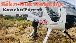Sika Rut Rescue Kaweka Forest Park