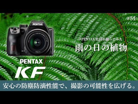 PENTAX社員が撮ってみた PENTAX KFで撮影した雨の日の植物写真をご紹介【PENTAX/防塵防滴】