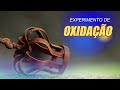 Experimento de Oxidação e Ferrugem