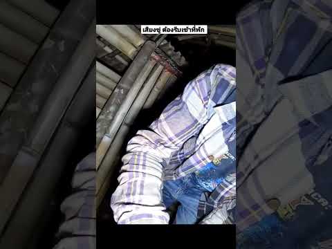 นอนป่าดิบ  มีเสียงขู่ต้องรีบเข้าที่พัก