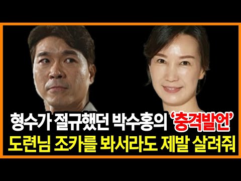 박수홍의 마지막 법정 진술에 형수가 비명을 지르며 난리난 이유｜판사마저 놀란 반전 상황