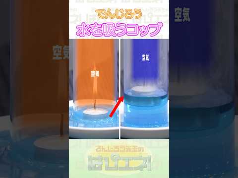 水を吸うコップ#Shorts #でんじろう先生 #実験 #science #はぴエネ #科学