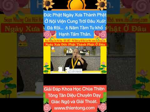 ĐỨC PHẬT NGÀY XƯA THÀNH PHẬT Ở NỘI VIỆN CUNG TRỜI ĐÂU XUẤT ĐÀ RỒI XONG MỚI XUỐNG & GĐ CHÙA TÂN DIỆU