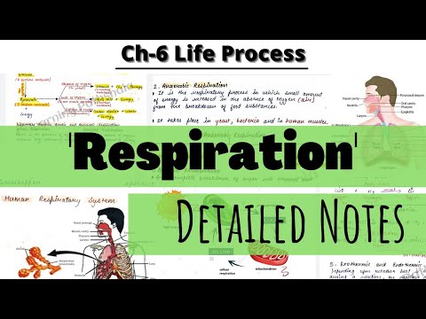 Life Processes|| Topic- Respiration|| DETAILED NOTES 🔥Ch-6 Class 10 Science|| Cbse
