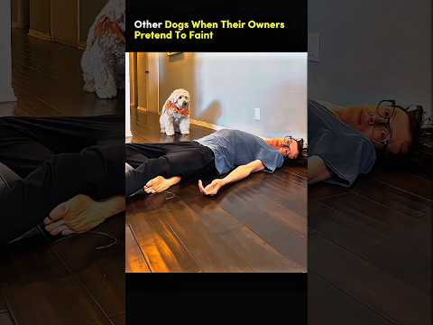 what the last dog did will shock you🤣 💀