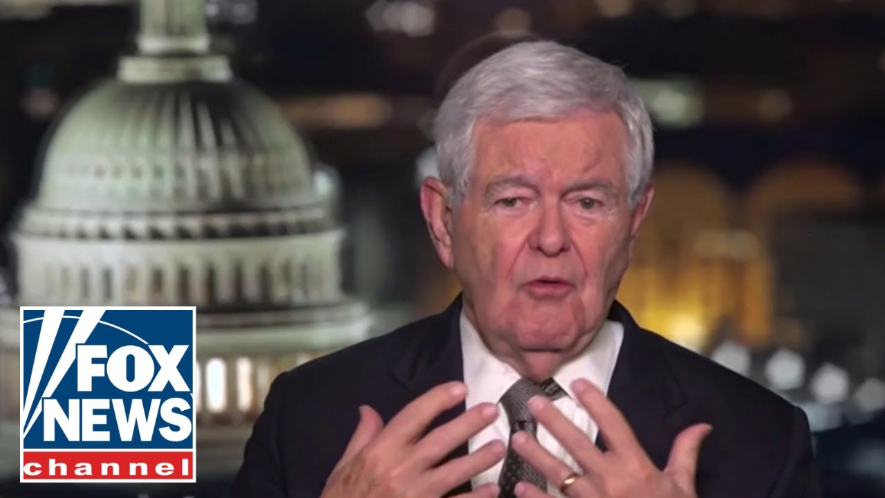 Newt Gingrich: Biden is being exploited