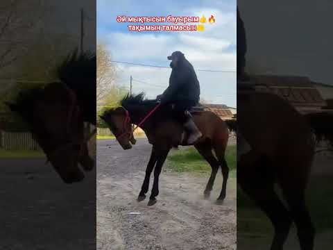 #асауүйрету#бөлісу#тарату#ұсыну#horse#rekomendasi#repost#rek#рекомендации#репост#рек