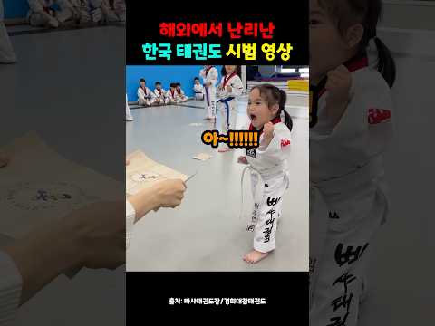 해외에서 난리난 한국 태권도 시범 영상