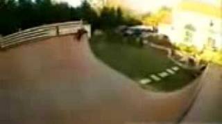 bams skate video