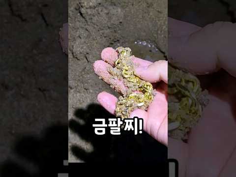 해수욕장에서 금팔찌 발견!