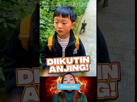 Nangis karena diikutin anjing❗ #videoviral #anjinglucu