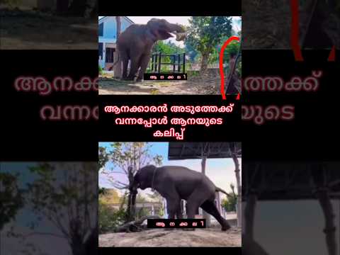 เดเดจเดเตเดเดพเดฐเตป เด
เดเตเดคเตเดคเตเดเตเดเต เดตเดจเตเดจเดชเตเดชเตเตพ เดเดจเดฏเตเดเต เดเดฒเดฟเดชเตเดชเต เดเดฃเตเดเต